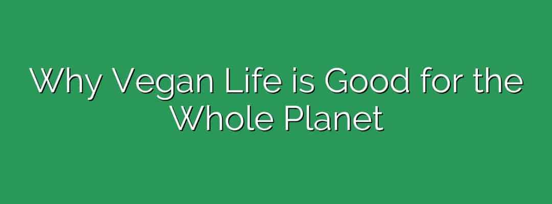 Why Vegan Life is Good for the Whole Planet