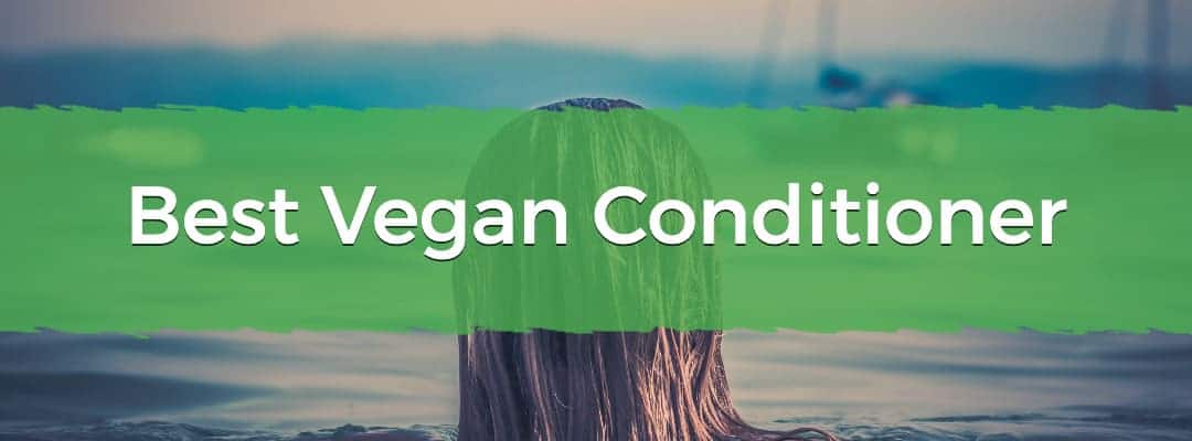 Best Vegan Conditioner Image