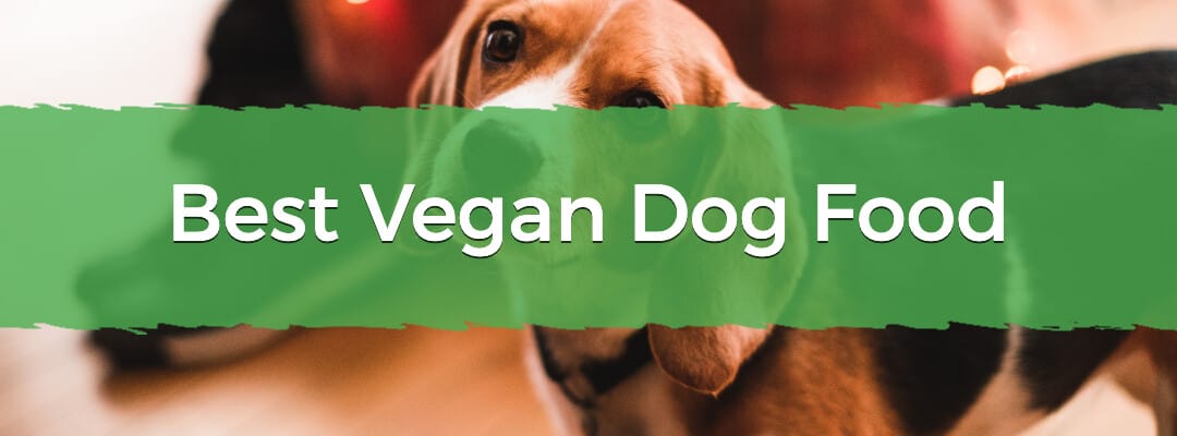 Best Vegan Dog Food Image